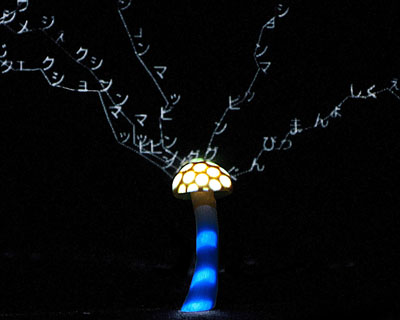 takayuki rokutan: simejection mapping onto shimeji mushrooms 