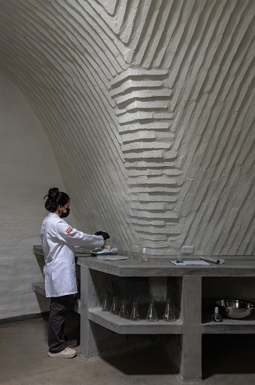 made of earthen adobe vaults, al borde&rsquo;s biology lab rises from the amazonian rainforest - 6