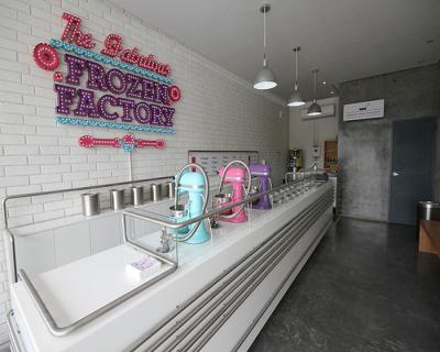 frozen ice cream factory toy