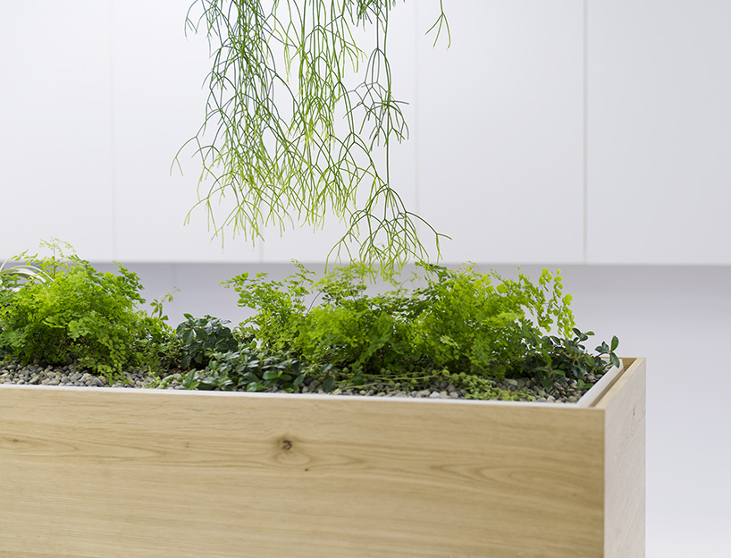 naoya matsumoto inserts soothing plants into koshida clinic in osaka