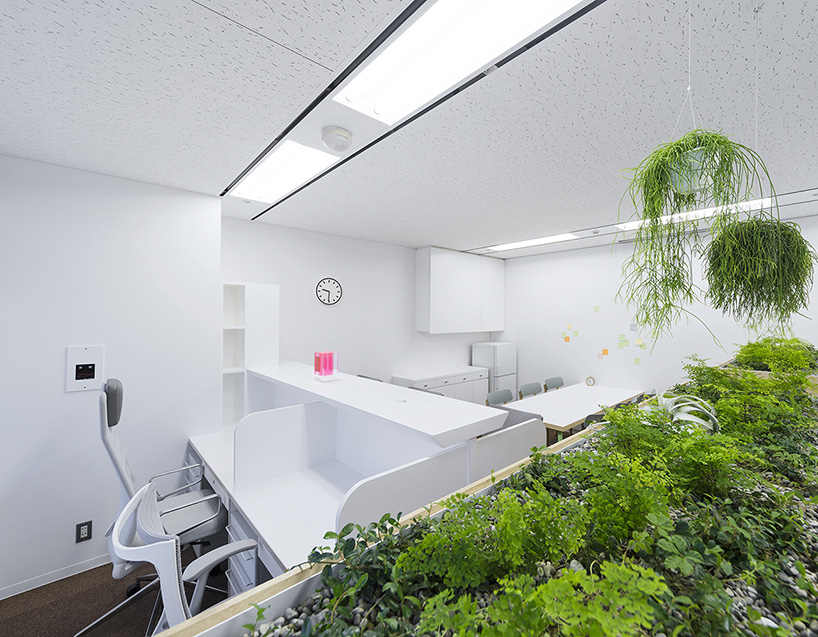 naoya matsumoto inserts soothing plants into koshida clinic in osaka