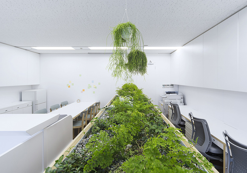 naoya matsumoto inserts soothing plants into koshida clinic in osaka