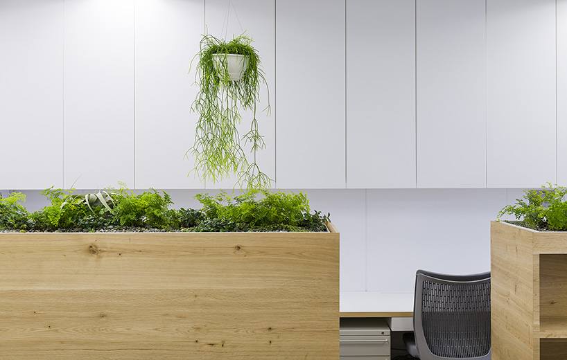 naoya matsumoto inserts soothing plants into koshida clinic in osaka