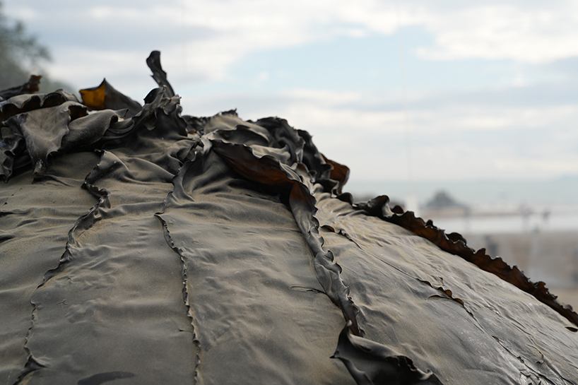 fossil-based balloon wraps kelp core for plastique fantastique's sea sculpture in korea