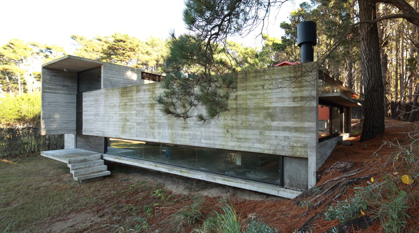 BAK arquitectos constructs pedroso house in a pine forest