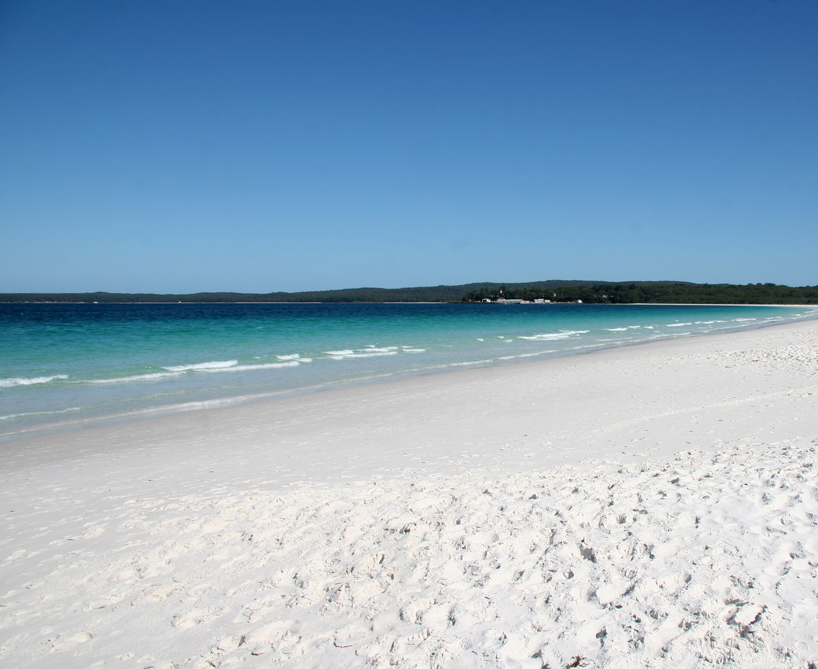 5.5 designstudio: 5.5/10 dates the celebration book