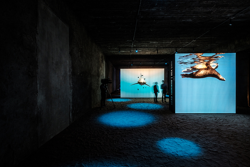the living sea captures the fragility of our oceans with immersive underwater photography designboom