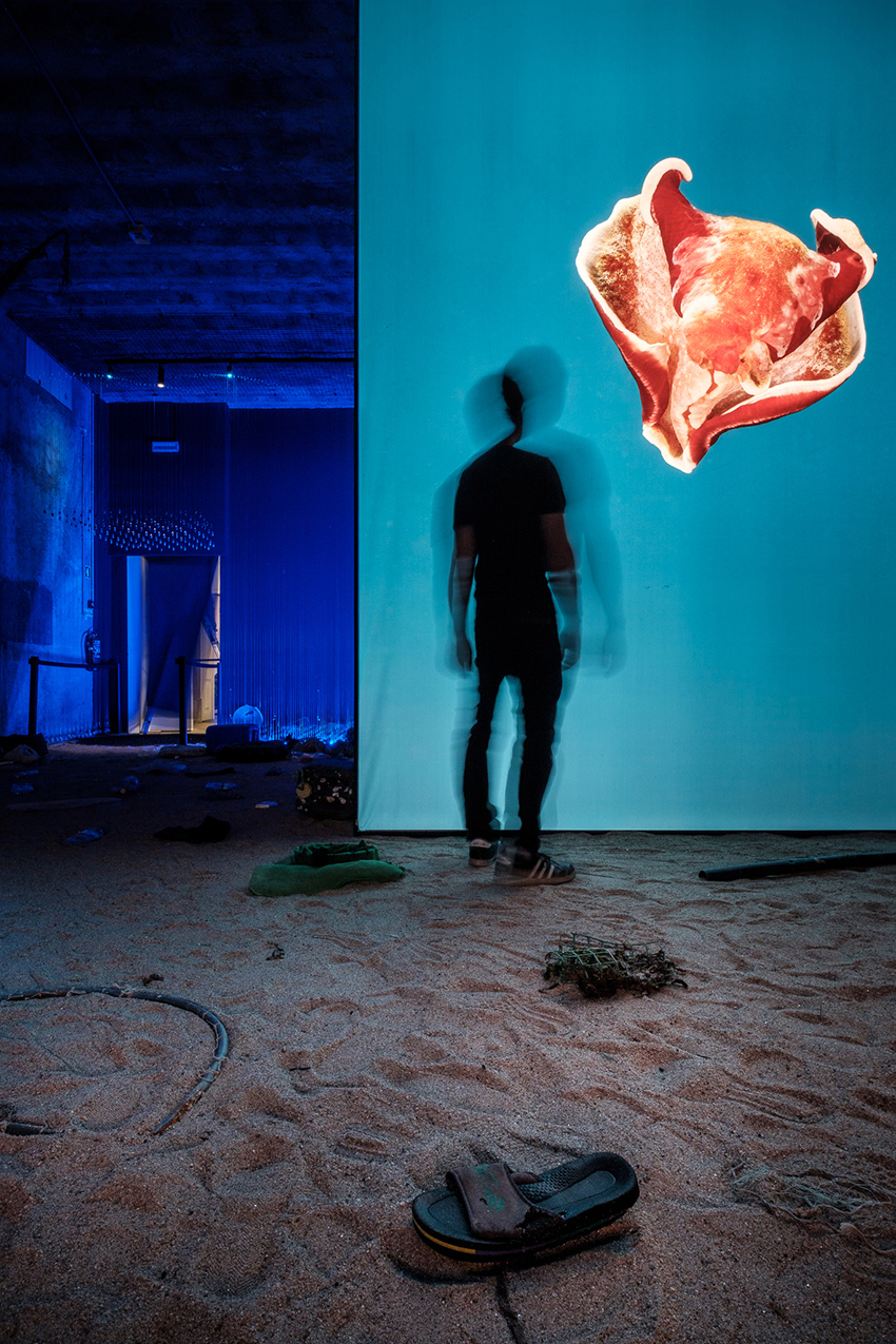 the living sea captures the fragility of our oceans with immersive underwater photography designboom