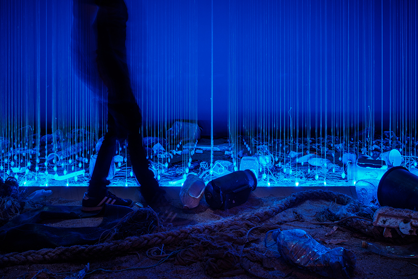 the living sea captures the fragility of our oceans with immersive underwater photography designboom