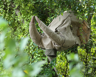 hunting jackets of endangered species by rohan chhabra