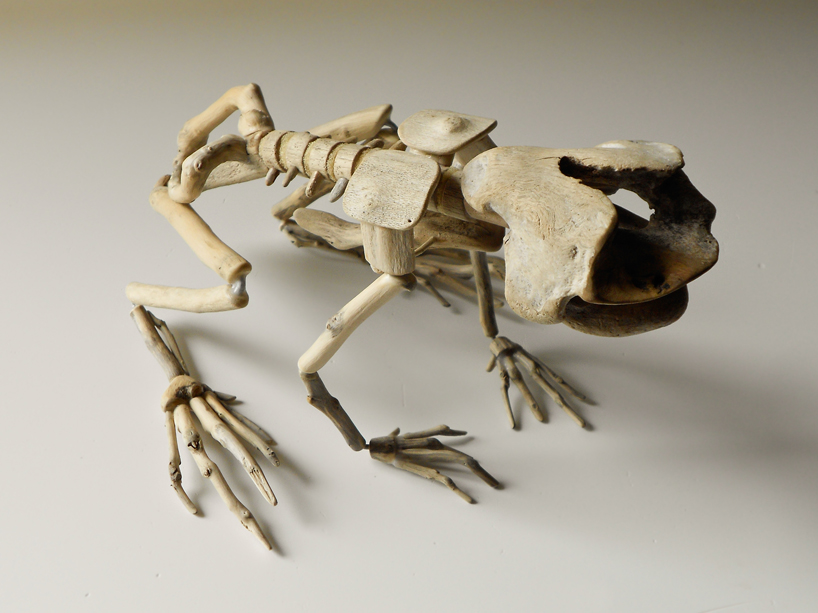 giovanni longo recovers wood to form fragile skeletons series