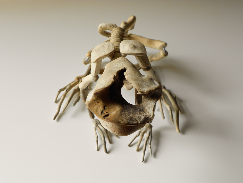 giovanni longo recovers wood to form fragile skeletons series