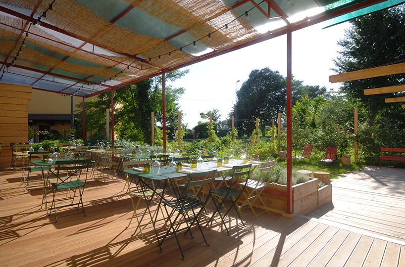 erba brusca rgastudio erba brusca rgastudio