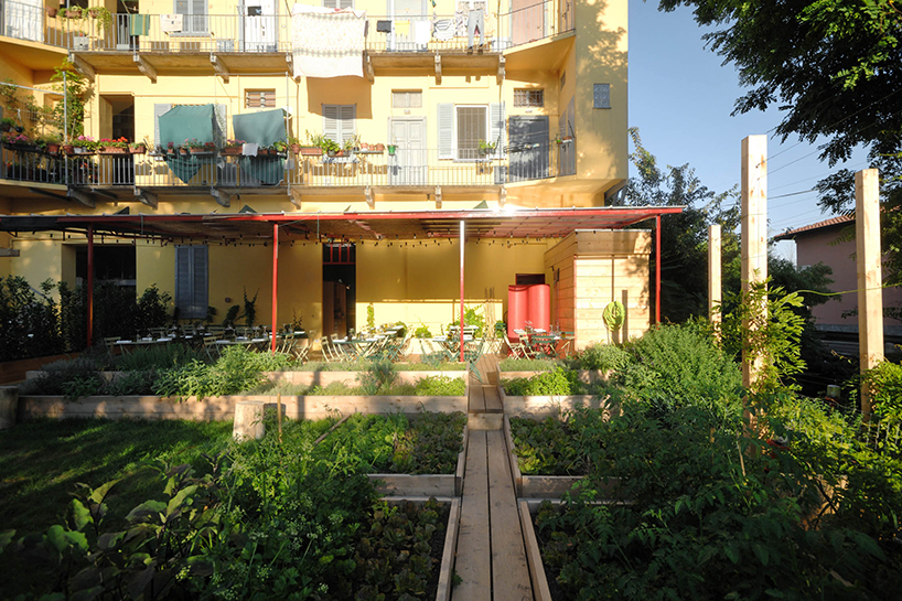 erba brusca rgastudio erba brusca rgastudio