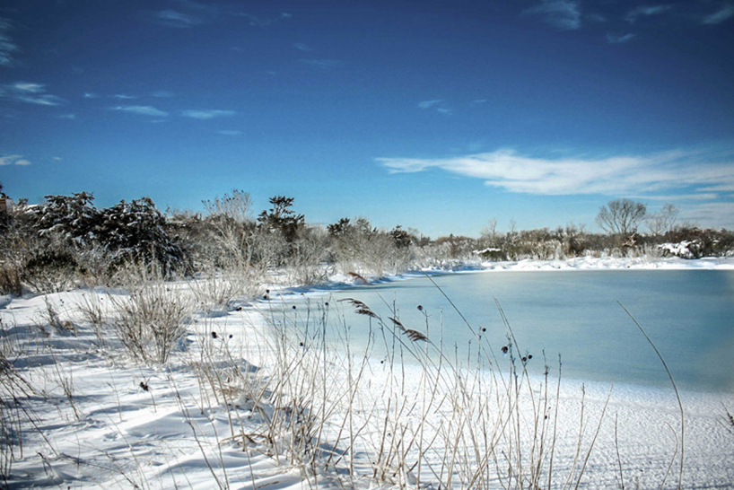laguardia design saves sagaponack house from eroding land