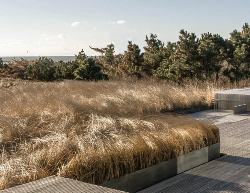 laguardia design saves sagaponack house from eroding land