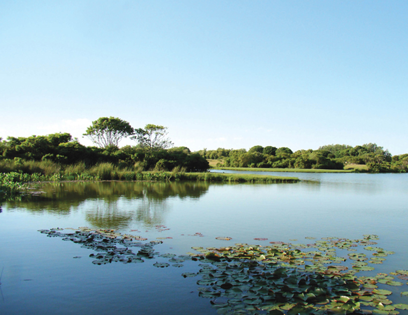 laguardia design saves sagaponack house from eroding land