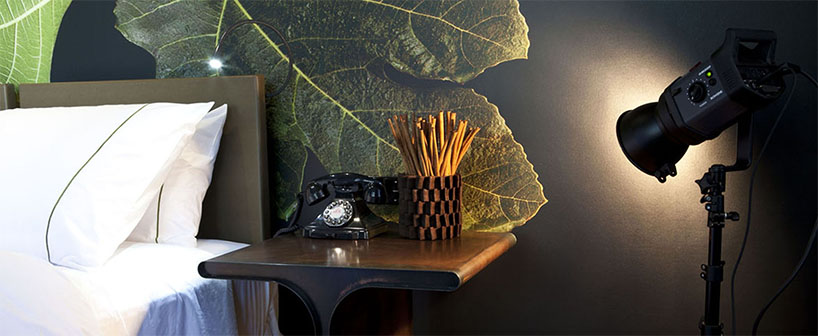 nini andrade silva inserts tree trunk in beautique hotels figueira