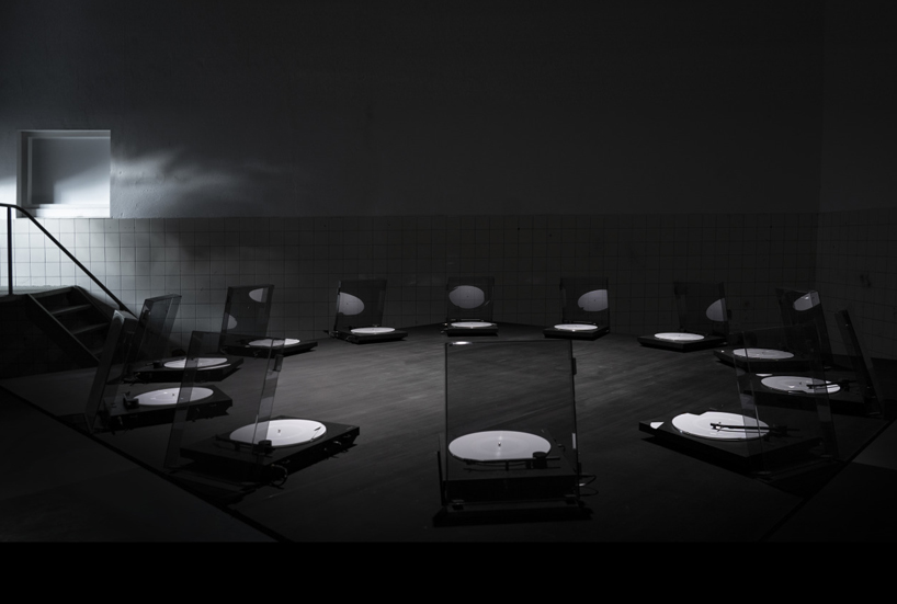 birds echo songs of protest for freedom and equality in haunting sound installation