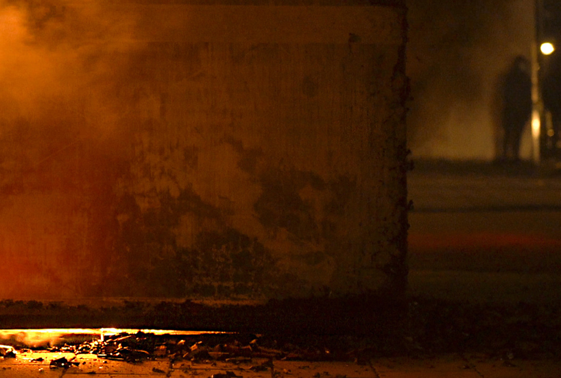 birds copy songs of protest 4