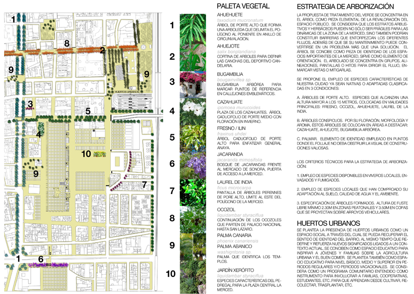 jose munoz villers + carlos marin win la merced masterplan