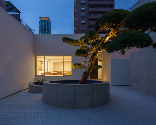 mifune design studio symbolizes podocarpus tree in osaka