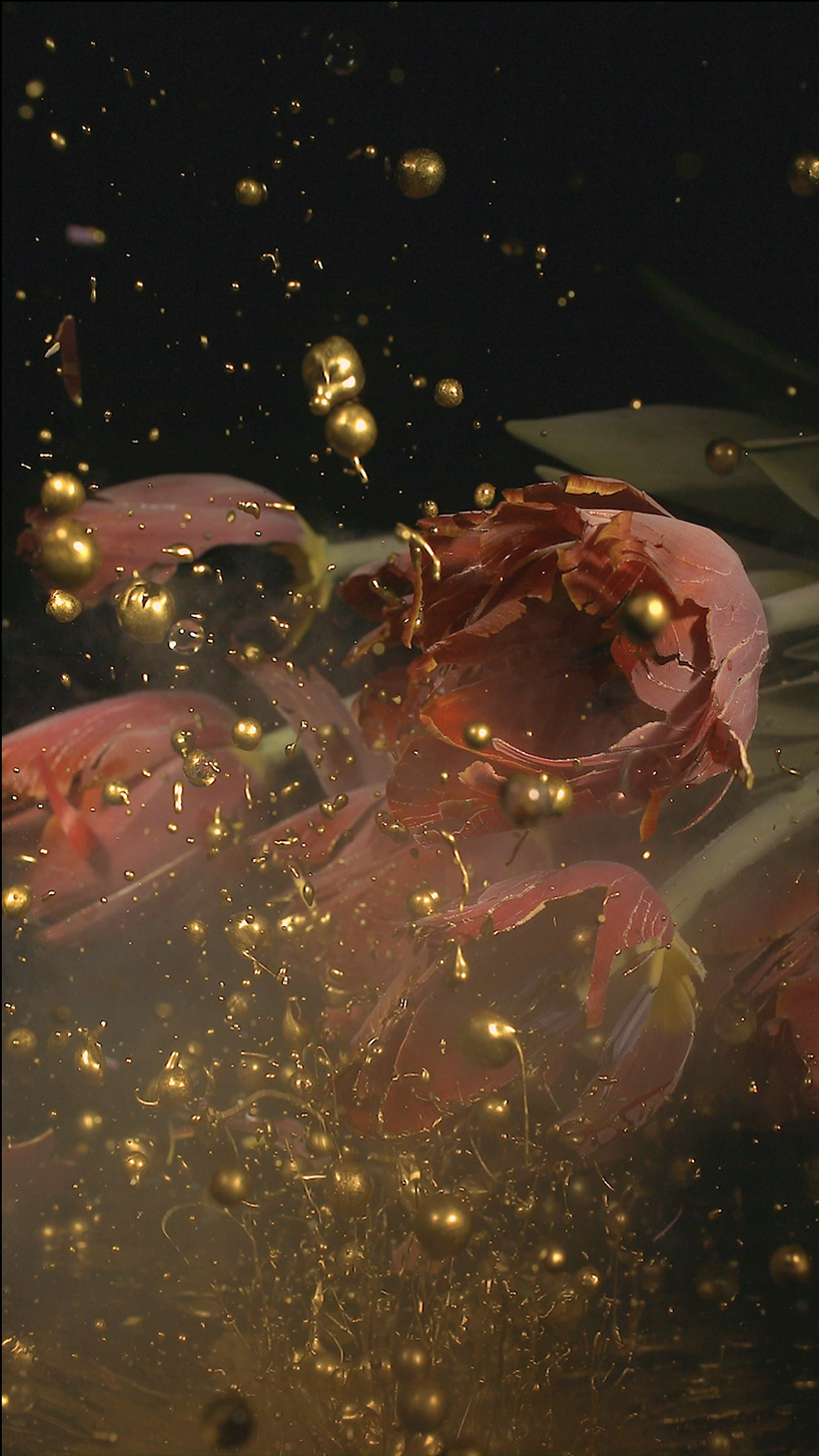 in invisible beauty, naoko tosa captures sound vibrations passing through colorful fluids