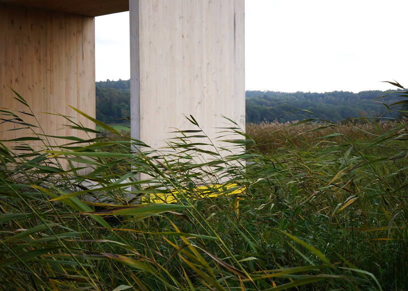 nola harads nola harads