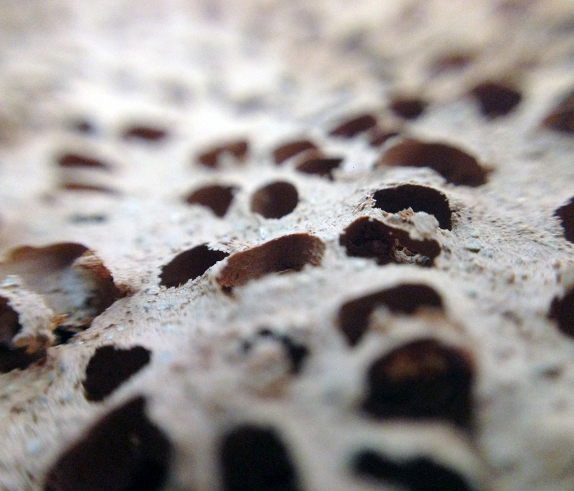 iker luna experiments with moss in bio ceramic system