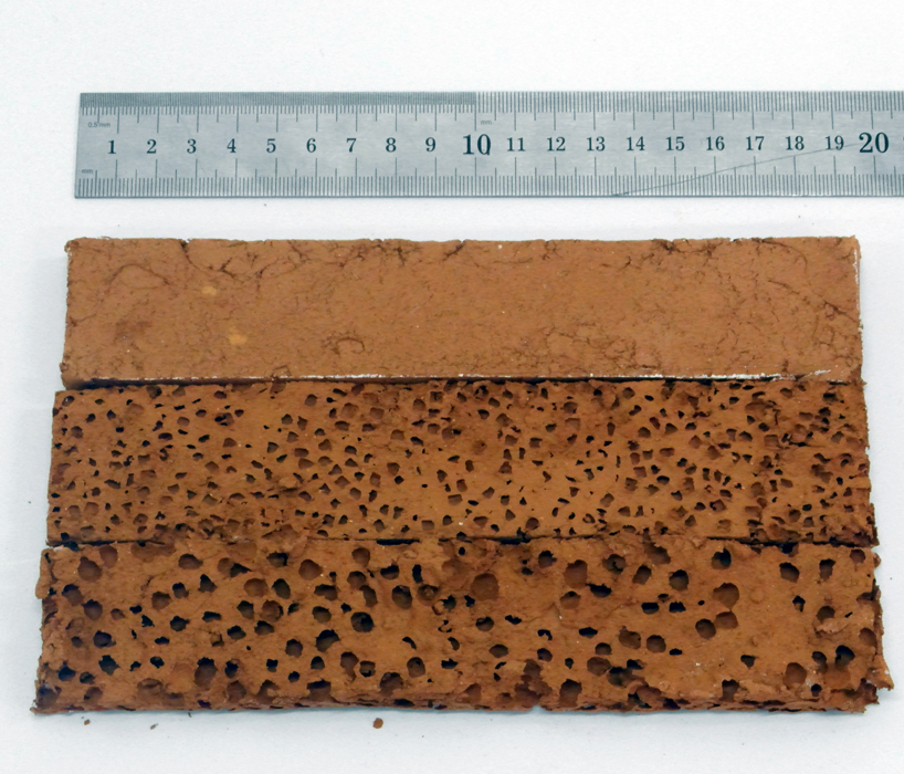 iker luna experiments with moss in bio ceramic system