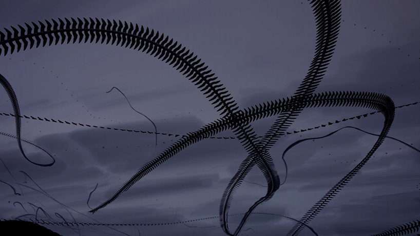 jacob down visualizes the complex flight paths of seagulls in 'skyscribbles_'