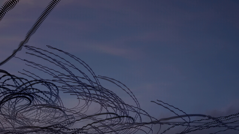 jacob down sky scribbles