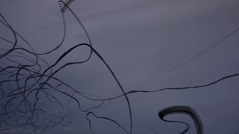 jacob down sky scribbles