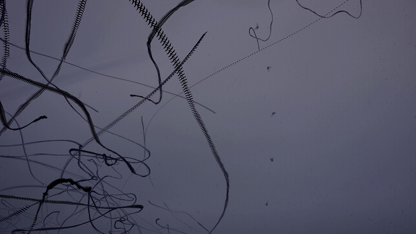 jacob down sky scribbles