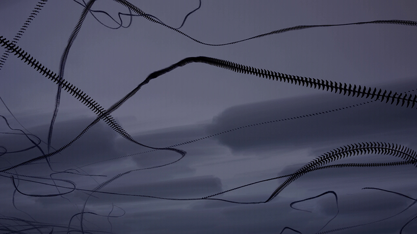jacob down visualizes the complex flight paths of seagulls in 'skyscribbles_'