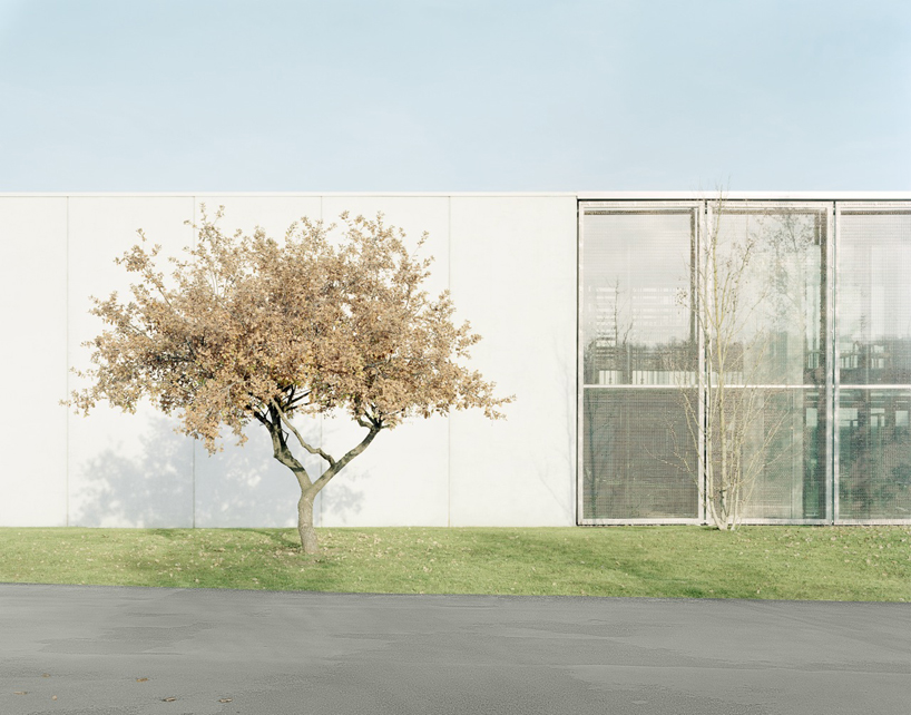 massimo adario expands varigrafica alto lazio printing factory