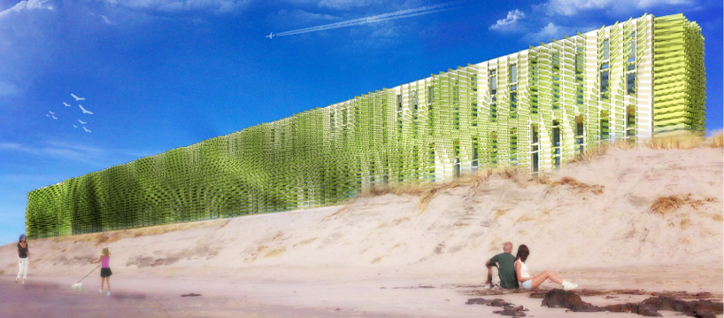 murtada alkaabi invents ammophila system for habitable wind farms