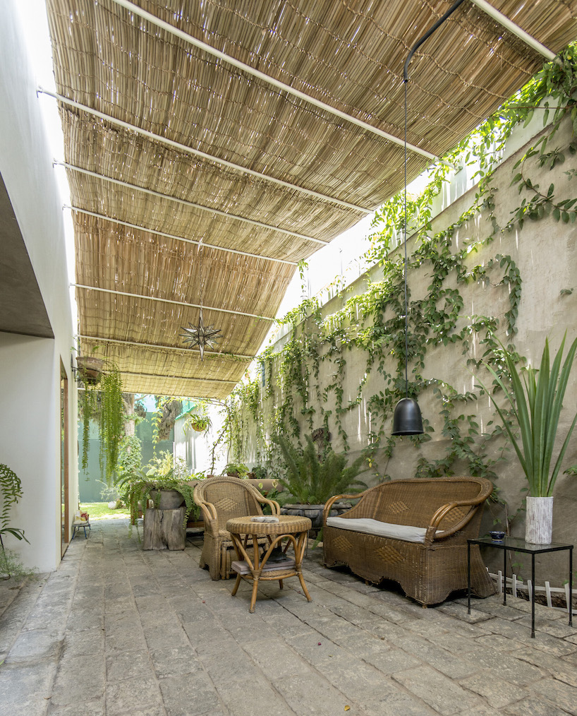 ghezzi novak's latest work in peru shifts into a concrete volume filled with plants
