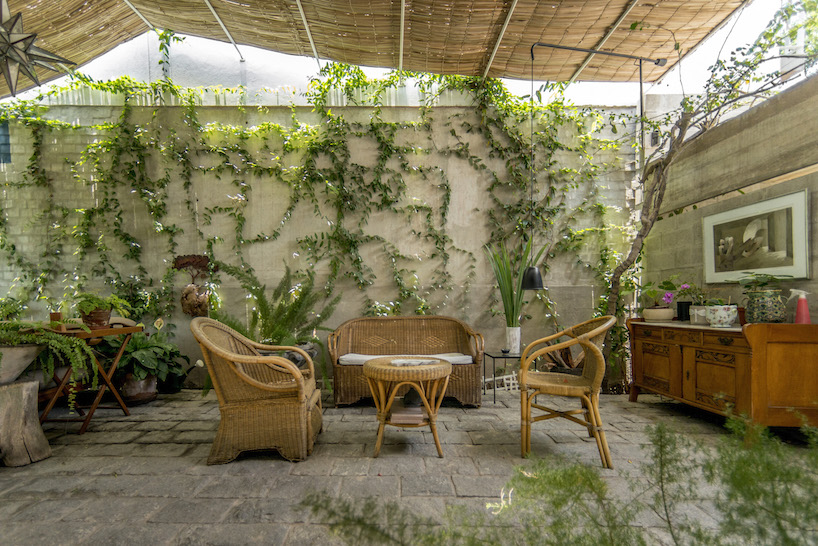 ghezzi novak's latest work in peru shifts into a concrete volume filled with plants