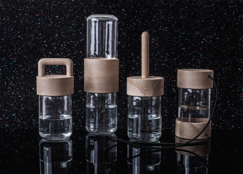 bioluminescence keeps pani jurek's living lamps bright at night