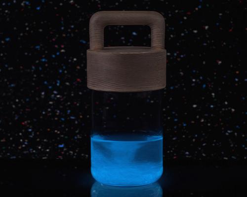 bioluminescence keeps pani jurek's living lamps bright at night