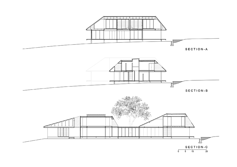 thai house by sook architects is constructed around a native tree