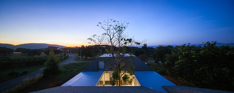 thai house by sook architects is constructed around a native tree