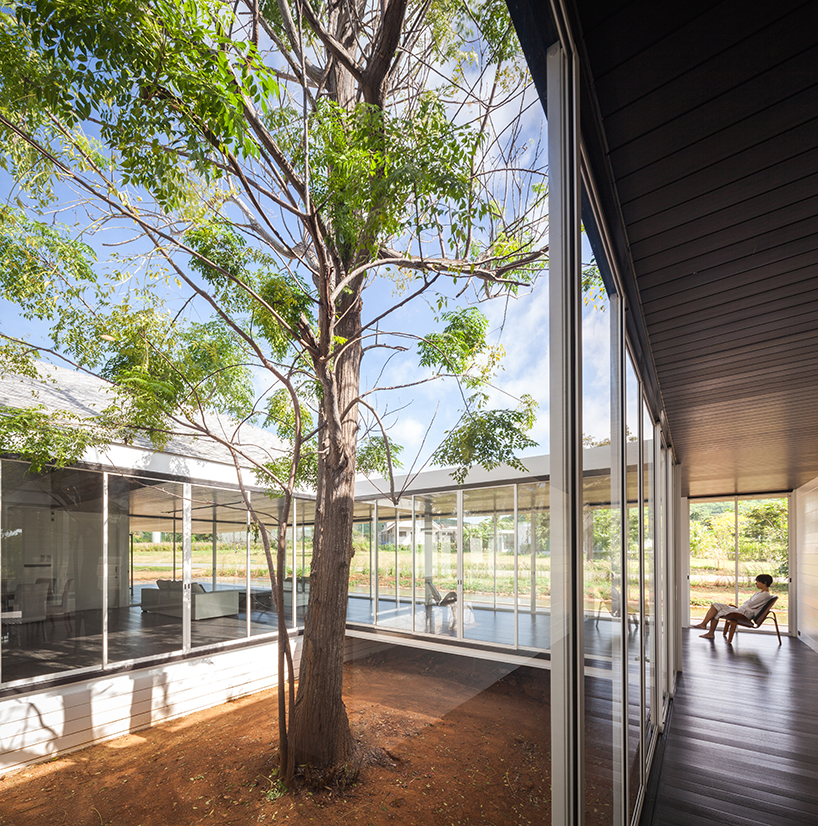 thai house by sook architects is constructed around a native tree