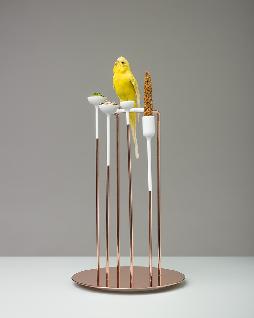 the animal party HEAD-genève designboom