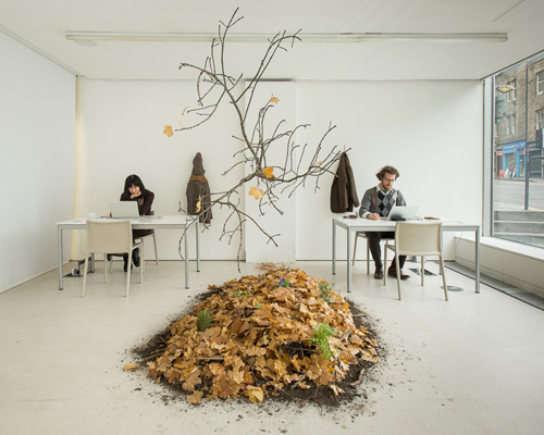 P.M. lydon installs forest in the center for endless growth in edinburgh