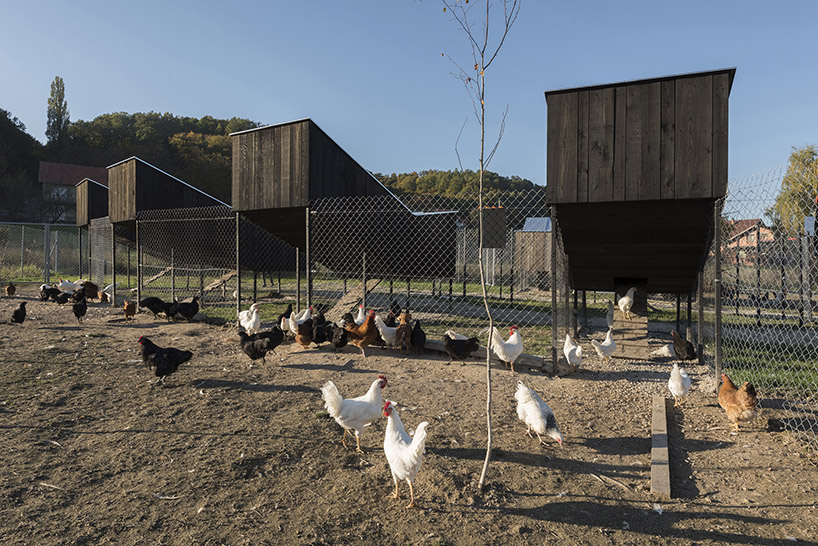 Chickenville An Eco Friendly Poultry Farm Designed By Skroz