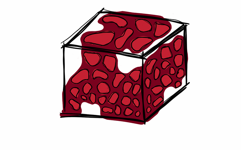 gerardo ars arquitectura constructs red coral house for young family