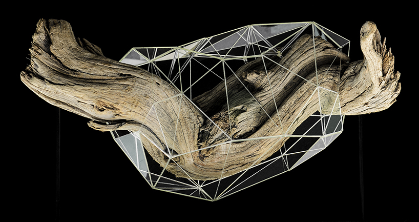 thomas medicus' glass sculptures digitize butterfly growth