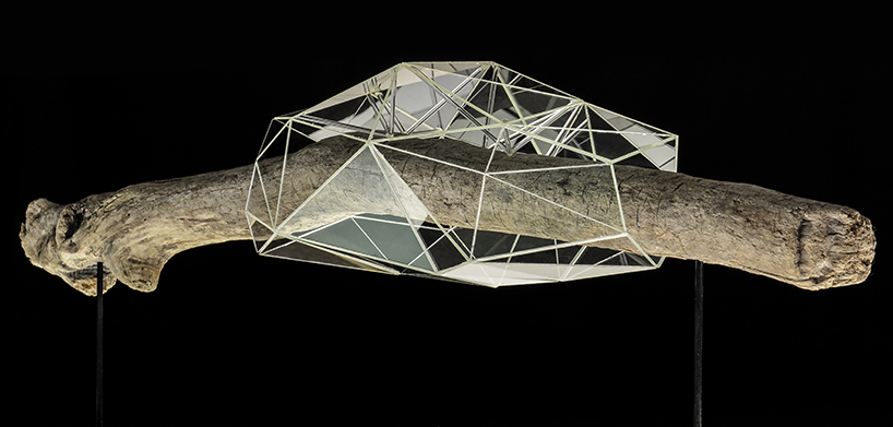 thomas medicus' glass sculptures digitize butterfly growth